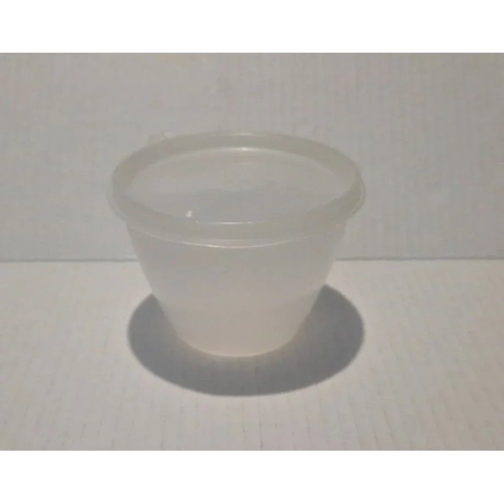 Tupperware Opaque Sheer Refrigerator Bowl 148 Seal Tight Lid 215 Made in USA VTG